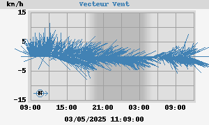 Wind Vector