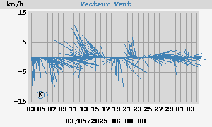 Wind Vector