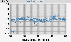 Wind Vector